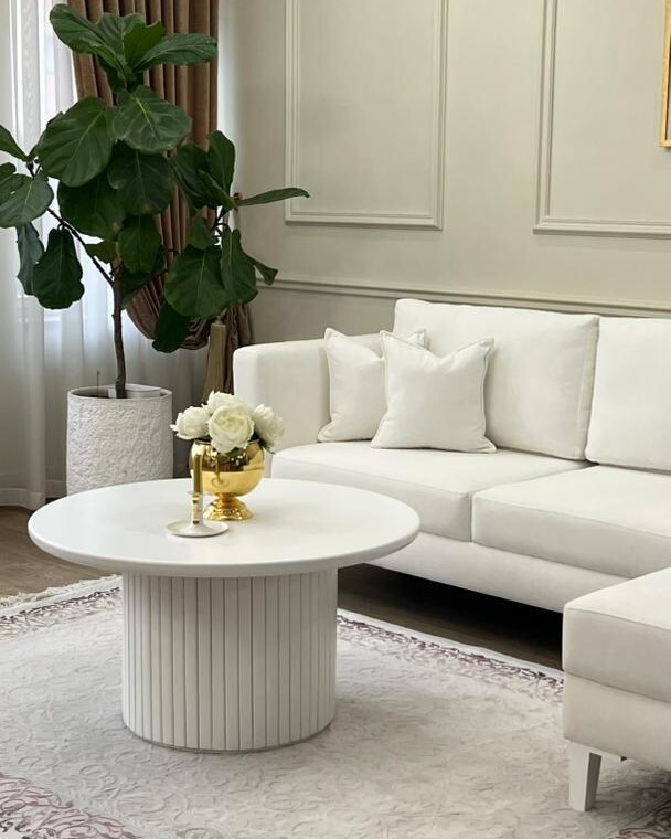 جناب آقای دکتر آتشی-تبریز